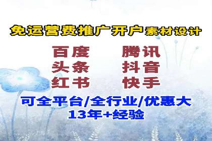 抖音信息流代理在电商行业的应用案例分析
